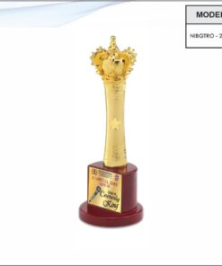 Trophy - 13.5 inches