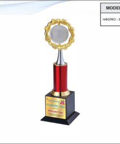 Trophy - 13.5 inches