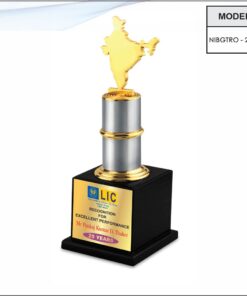 Trophy - 11 inches