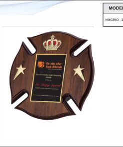 Trophy - 9 inches