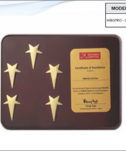 Plaque 7 inches x 9 inches