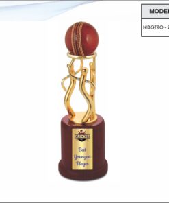 Trophy - 13 inches