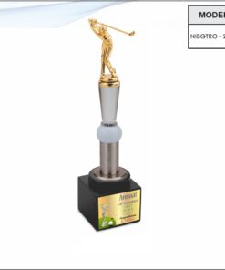 Trophy - 12.5 inches