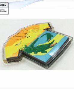 Acrylic Fridge Magnet - Customised Shape