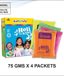 Pidilite Holi Colour Box