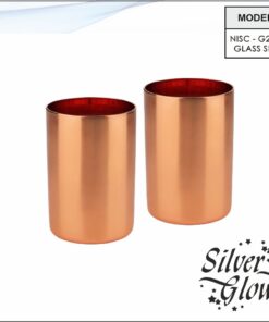 Glass Set ( Copper Coated )