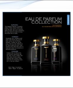 Park Avenue Eau De Perfume - 100 ml