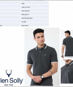 Allen Solly Men Regular Fit - Anthra Melange