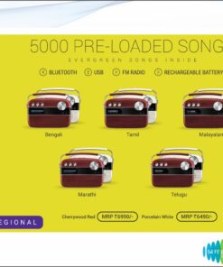 Saregama Carvaan Regional - Porcelain White