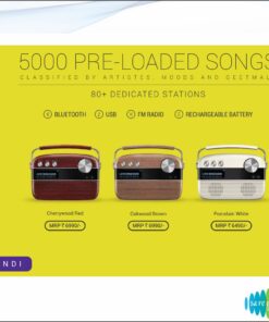 Saregama Carvaan Hindi - Oakwood Brown