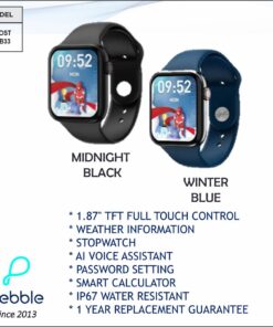 Pebble Frost BT Calling Smart Watch