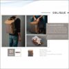 Oblique Flash Laptop Backpack