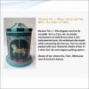 Musical Tin Tea
