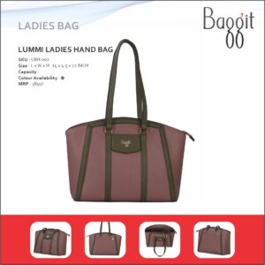 Baggit Lummi Ladies Hand Bag