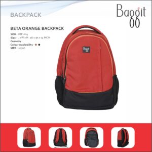 Baggit Beta Series Laptop Backpack