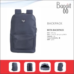 Baggit Beta Series Laptop Backpack