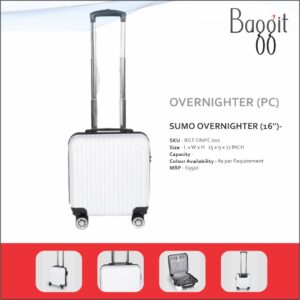 Baggit Sumo PC Overnighter - 16 inches