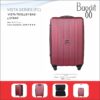 Baggit 4 Strap 24 inches PC Hard Top Cabin Size Trolley Bag