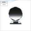 Crystal Glass Trophy