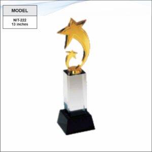 Crystal Glass Trophy