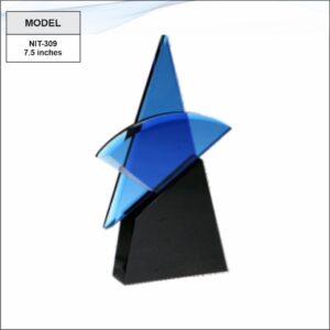 Crystal Glass Trophy