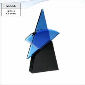 Crystal Glass Trophy